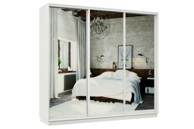 Шкаф-купе Премьер 53 Белый