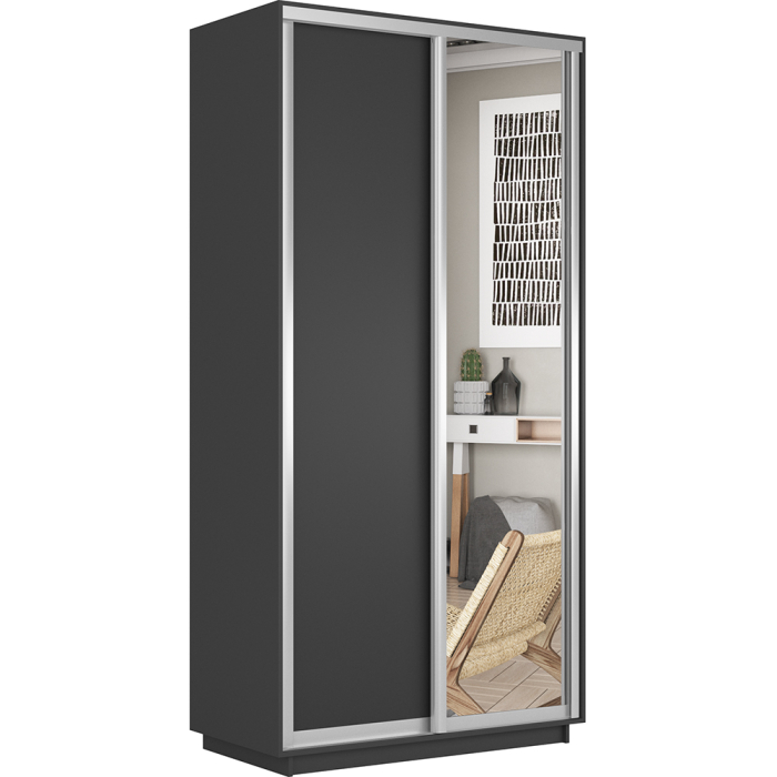 Шкафы-купе 2-х дверные, Шкаф-купе Экспресс Хит 2х дверный ДСП/Зеркало 120х60х220