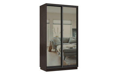 Шкаф-купе Премьер МИНИ 02 (01ЗГ;01ЗГ) фасады зеркало графит/двухдверный/Профиль чёрный муар