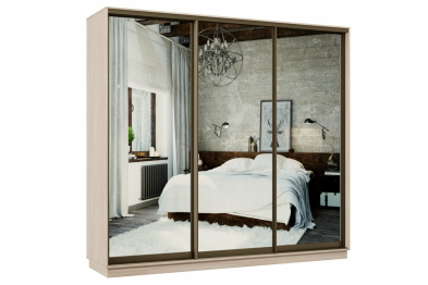 Шкаф-купе Премьер 54 Ясень шимо светлый