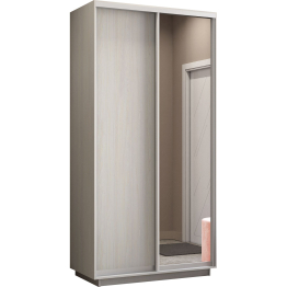 Шкаф-купе Экспресс Медиум дуо 2400 x 1200 x 600
