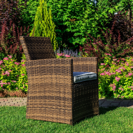 Обеденное кресло FIONA