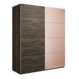 Шкаф-купе Эста 2-х дверный ДСП/Стекла пудра/Доводчик 180х66х240