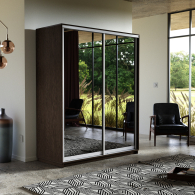 Шкафы-купе, Шкаф-купе Экспресс Экспенс дуо 2200 x 1400 x 600