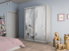 Шкафы-купе 2-х дверные, Шкаф-купе Экспресс 2-х дверный Фотопечать Шелк Стекла 120х60х220