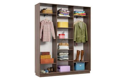 Шкаф-купе Премьер 25 (15;15;15) трёхдверный