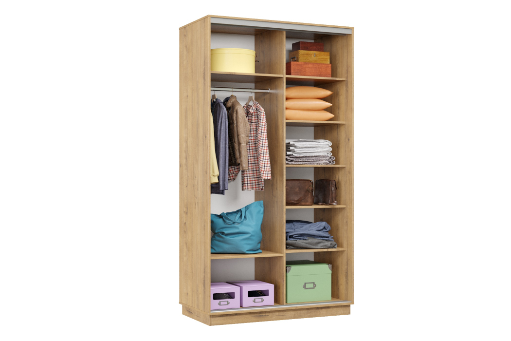 Шкафы-купе 2-х дверные, Шкаф-купе Премьер Лайт МИНИ 04 (11;11) двухдверный