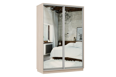 Шкаф-купе Премьер Лайт МИНИ 02 (01;01) двухдверный