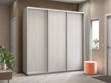 Шкафы-купе 3-х дверные, Шкаф-купе Экспресс Элемент трио 2400 x 2400 x 450