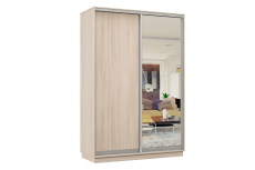 Шкафы-купе 2-х дверные, Шкаф-купе Премьер Лайт МИНИ 01 (02;01) двухдверный