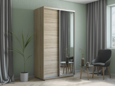 Шкафы-купе 2-х дверные, Шкаф-купе Экспресс Хит 2х дверный ДСП/Зеркало 120х60х220