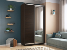 Шкафы-купе 2-х дверные, Шкаф-купе Экспресс Хит 2х дверный ДСП/Зеркало 120х60х220