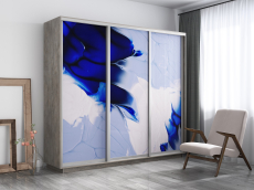 Шкафы-купе, Шкаф-купе Экспресс 1010, 180х60х240