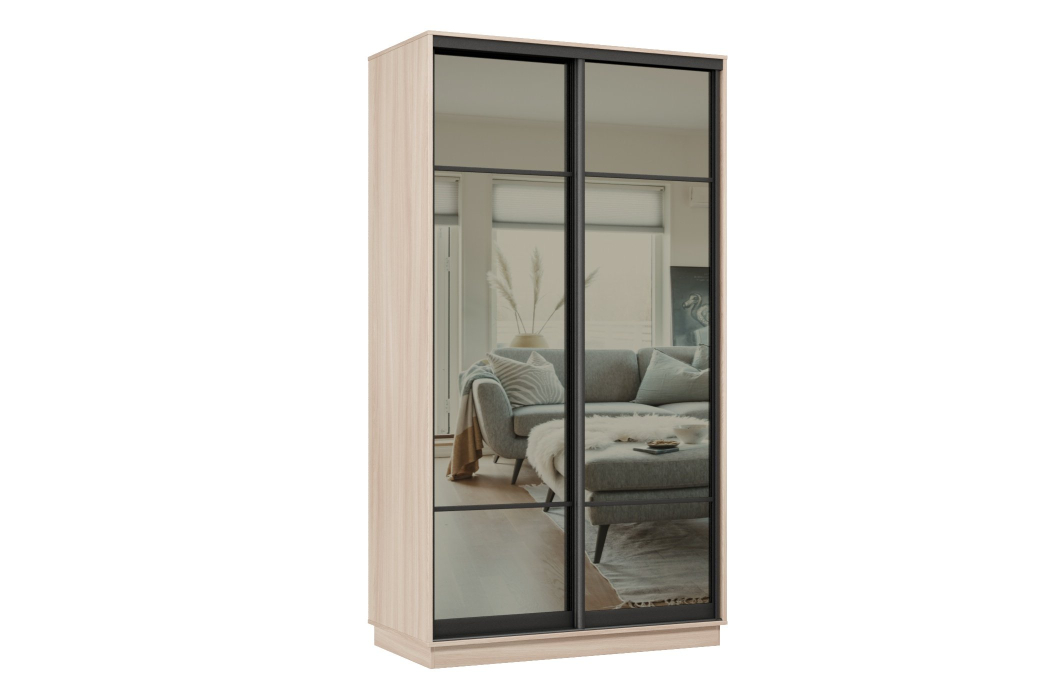 Шкафы-купе 2-х дверные, Шкаф-купе Премьер МИНИ 04 (11ЗГ;11ЗГ) фасады зеркало графит/двухдверный/Профиль чёрный муар