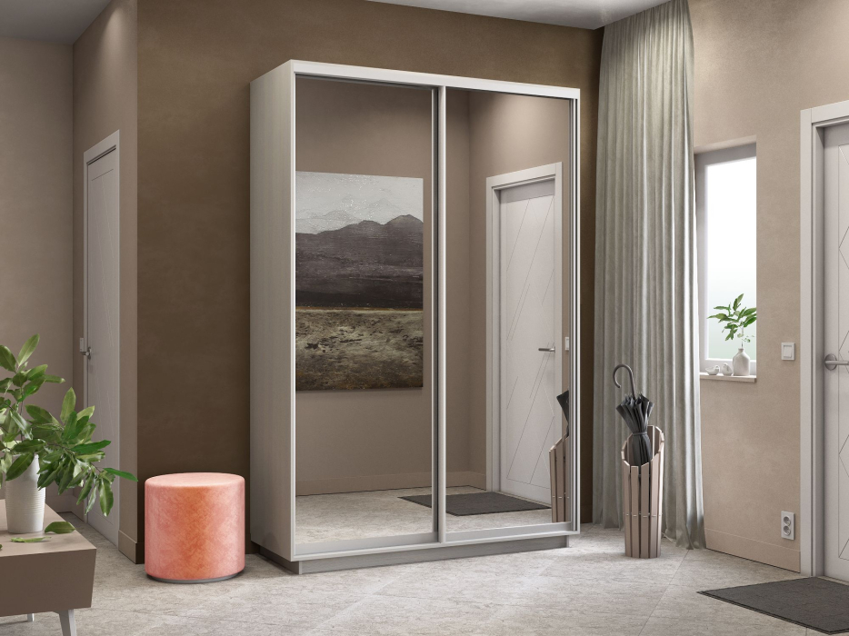 Шкафы-купе 2-х дверные, Шкаф-купе Экспресс Экспенс дуо 2200 x 1600 x 450