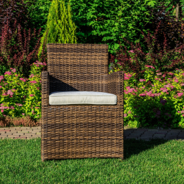 Обеденное кресло FIONA