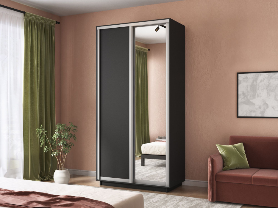 Шкафы-купе 2-х дверные, Шкаф-купе Экспресс Хит 2х дверный ДСП/Зеркало 120х60х220