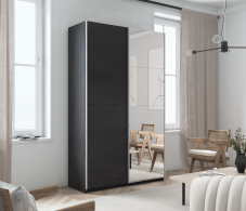 Шкафы-купе 2-х дверные, Шкаф Прайм дуо ДСП+зеркало 2300 х 1400 х 570