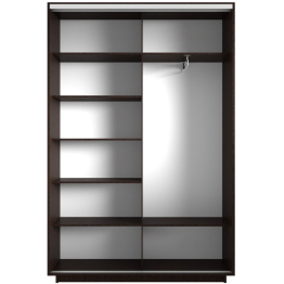 Шкаф-купе Экспресс 1001, 120х45х240