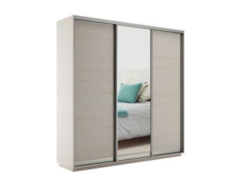 Шкаф-купе Экспресс Медиум (1 зеркало) трио 2400 x 1800 x 450