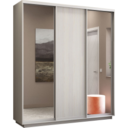 Шкаф-купе Экспресс Медиум (2 зеркала) трио 2200 x 2100 x 600