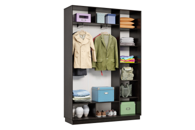 Шкаф-купе Премьер Лайт 09 (11;11) двухдверный