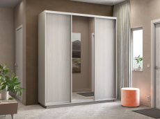 Шкафы-купе 3-х дверные, Шкаф-купе Экспресс Медиум (1 зеркало) трио 2200 x 2100 x 450