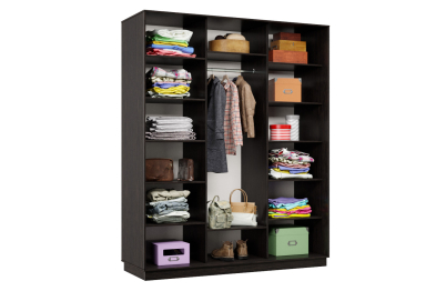 Шкаф-купе Премьер Лайт 30 (01;01;01) трехдверный