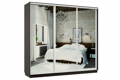 Шкаф-купе Премьер 55 Венге