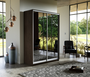 Шкаф-купе Экспресс Экспенс дуо 2400 x 1600 x 600