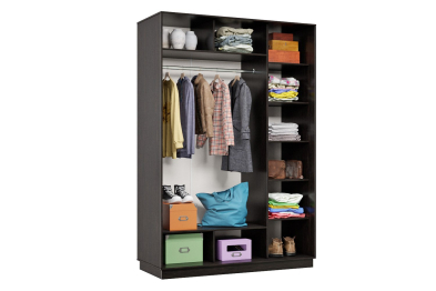 Шкаф-купе Премьер 12 (11ЗБ;11ЗБ) фасады зеркало бронза/двухдверный/Профиль чёрный муар