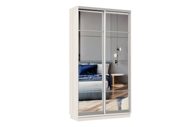 Шкаф-купе Премьер Лайт МИНИ 04 (11;11) двухдверный