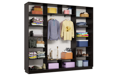 Шкаф-купе Премьер 61 (14;14;14) трёхдверный