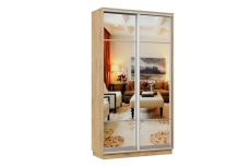 Шкафы-купе 2-х дверные, Шкаф-купе Премьер Лайт МИНИ 03 (11;11) двухдверный