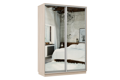 Шкаф-купе Премьер Лайт МИНИ 04 (04;04) двухдверный