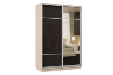 Шкафы-купе, Шкаф-купе Премьер Лайт 09 (08;11) двухдверный