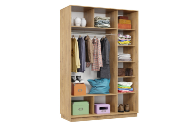 Шкаф-купе Премьер 10 (11ЗГ;11ЗГ) фасады зеркало графит/двухдверный/Профиль чёрный муар