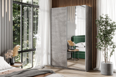 Шкафы-купе 2-х дверные, Шкаф-купе Smart 1224 2х дверный (фасады ЛДСП,зеркало) профиль серебро