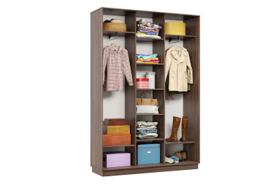 Шкаф-купе Премьер 19 (16;16;16) трёхдверный