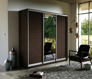 Шкаф-купе Экспресс Медиум (1 зеркало) трио 2200 x 2400 x 600