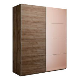 Шкаф-купе Эста 2-х дверный ДСП/Стекла пудра/Доводчик 200х66х240