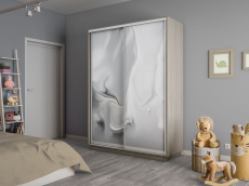 Шкафы-купе 2-х дверные, Шкаф-купе Экспресс 2-х дверный Фотопечать Шелк Стекла 140х45х220