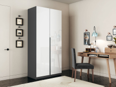 Шкафы распашные, Шкаф распашной Е1 Локер 101x52.5x220 см, с белым стеклом и модулем