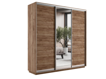 Шкаф-купе Экспресс Медиум (1 зеркало) трио 2200 x 2100 x 450