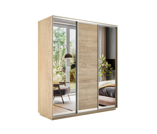 Шкаф-купе Экспресс Медиум (2 зеркала) трио 2200 x 2100 x 600