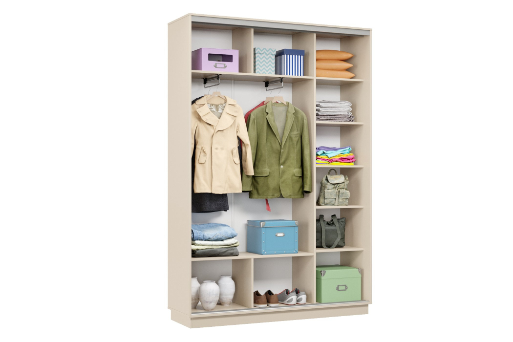 Шкафы-купе, Шкаф-купе Премьер Лайт 09 (05;05) двухдверный