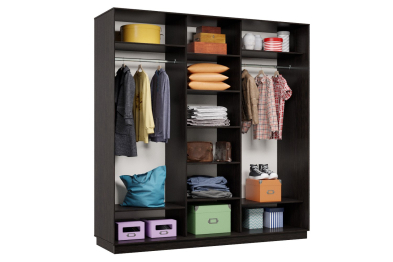 Шкаф-купе Премьер Лайт 42 (01;02;01) трехдверный