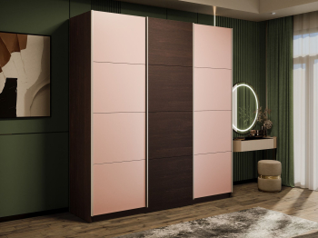 Шкаф-купе Эста 3-х дверный ДСП/Стекла пудра/Доводчик 240х66х240