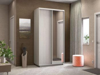 Шкаф-купе Экспресс Медиум дуо 2400 x 1200 x 600