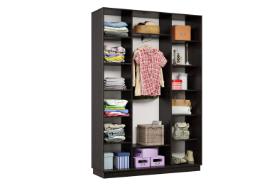 Шкаф-купе Премьер 15 (15;15;15) трёхдверный